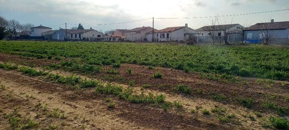 Terrain 422 m² à Canet  - photo 2