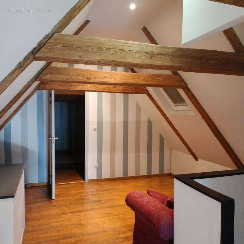 25490 badevel - photo 9
