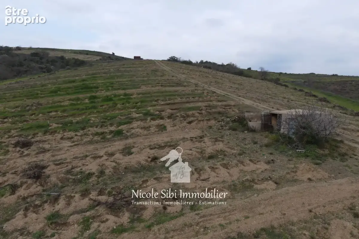 Terrain 40 428 m² à vendre à Montner (66720) - photo 6