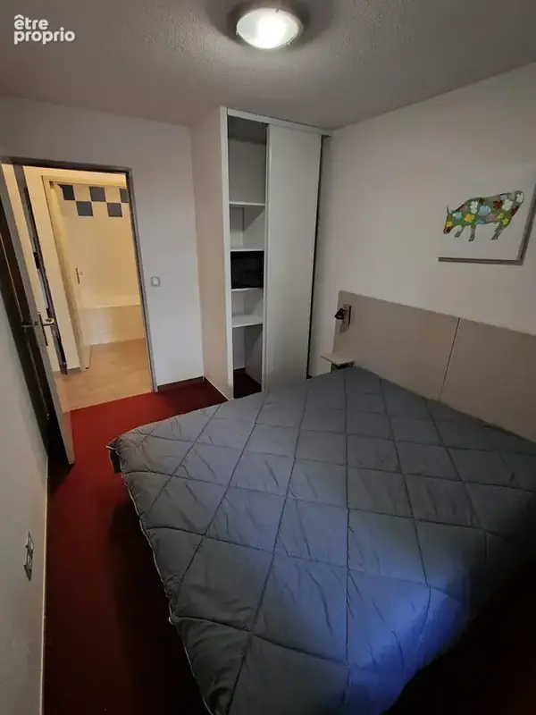 Ski Apartment for sale Les Angles - a vendre  (1)