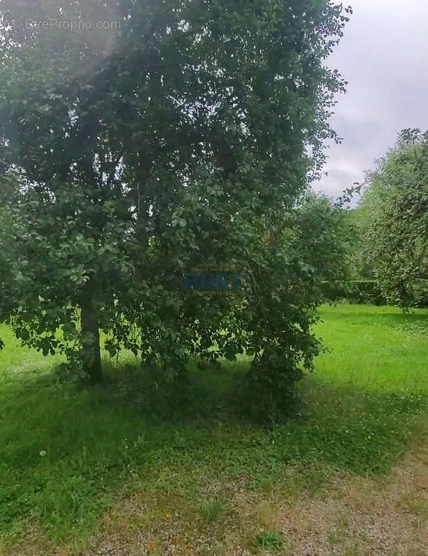 Terrain à LE VAL-D&#039;ESNOMS