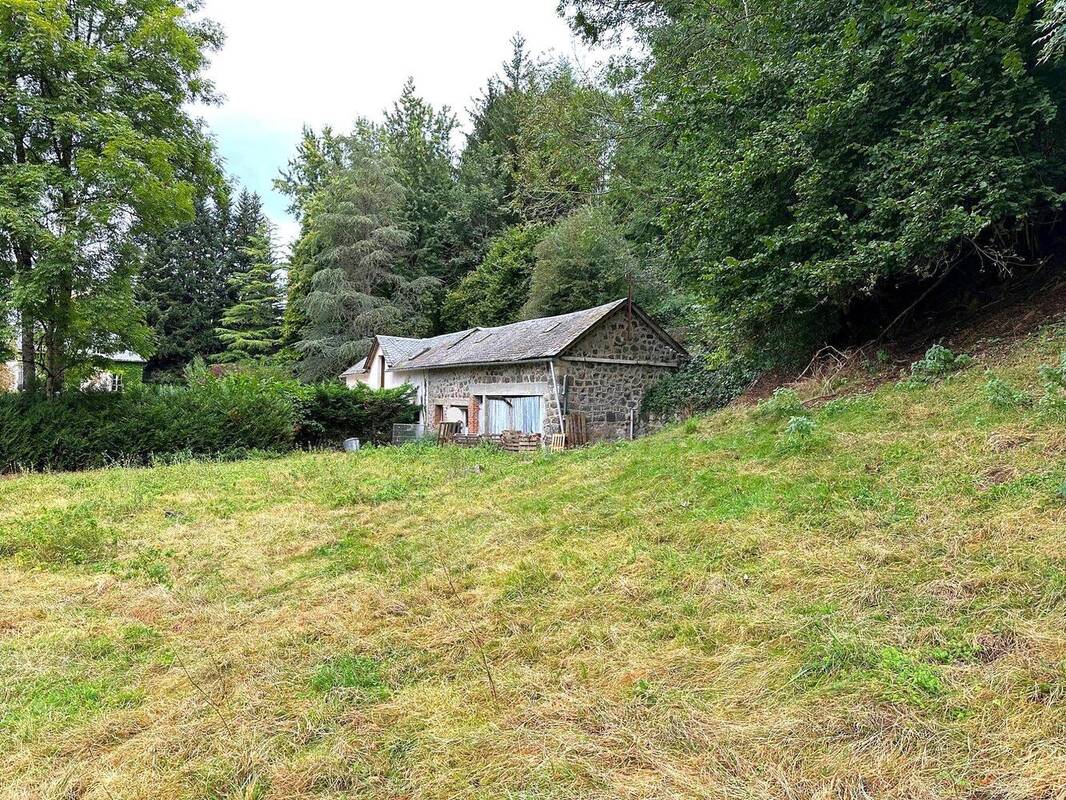 Terrain à SAINT-MARTIN-VALMEROUX