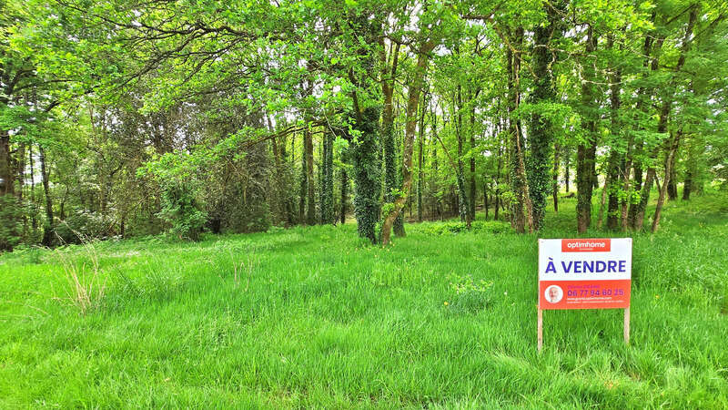 Terrain à SAINT-JUNIEN