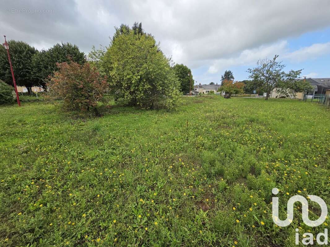 Photo 3 - Terrain à MANSIGNE