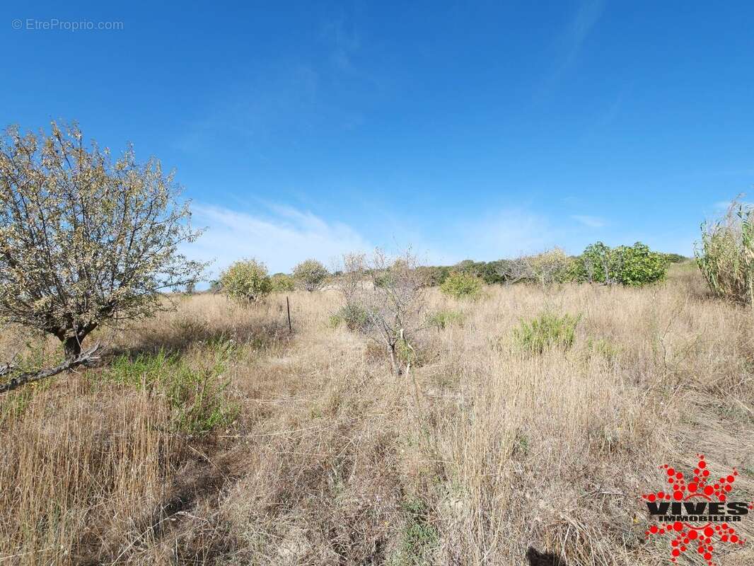Terrain agricole de 5075 m² - photo 3