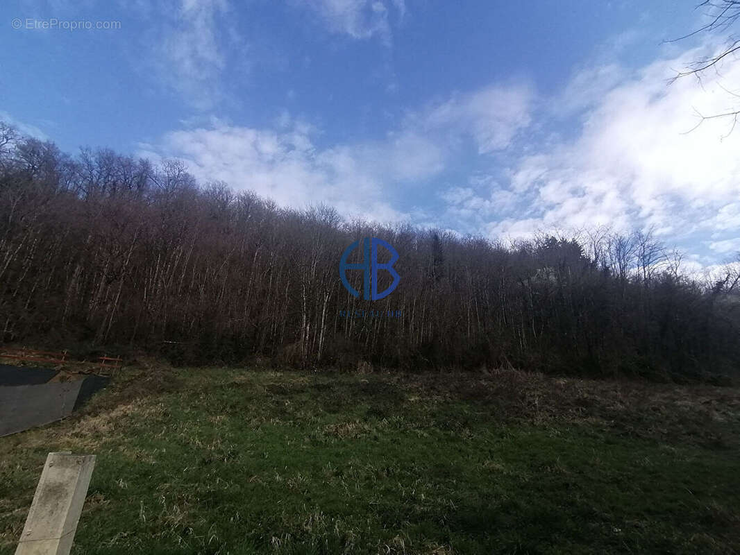 Terrain à CHAZEY-BONS