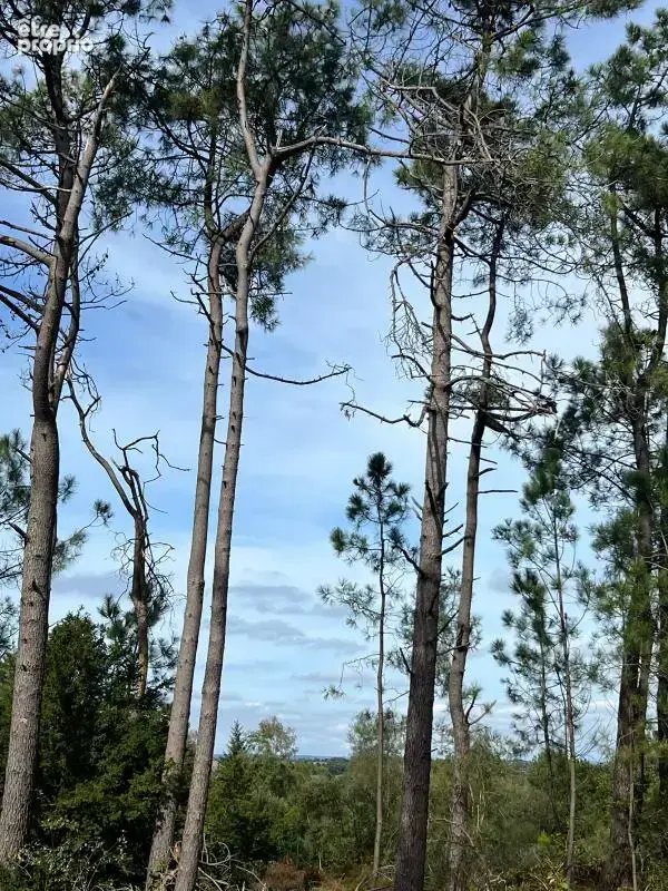 À vendre – argol – finistère – presqu’île de crozon-exceptionnel terrain de loisirs de 40 000 m² - photo 48