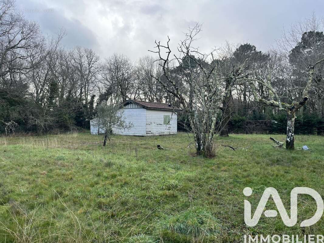 Photo 2 - Terrain à GUJAN-MESTRAS