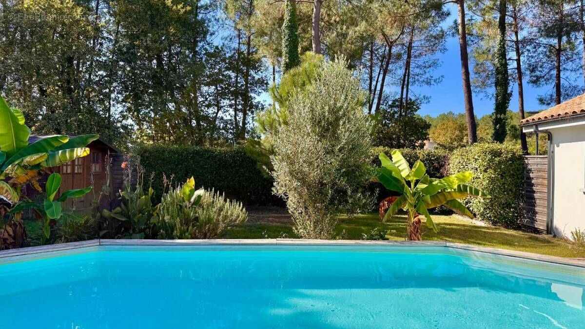 Maison à LEGE-CAP-FERRET