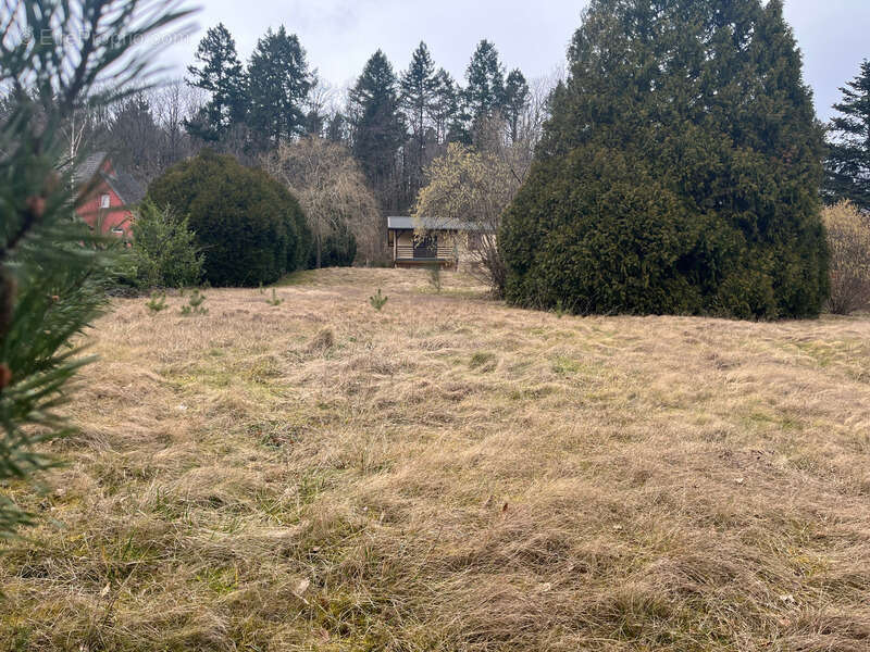 Terrain à OBERHASLACH