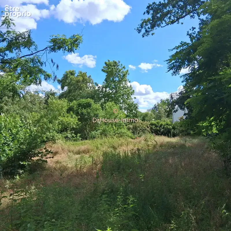 Terrain 1 694 m² à vendre à Saint-Denis-En-Val (45560) - photo 11