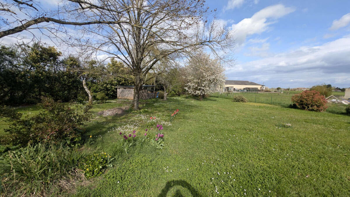 Photo 7 - Maison à MAILLE