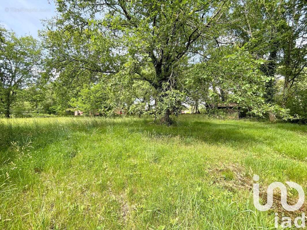 Photo 4 - Terrain à MIOS