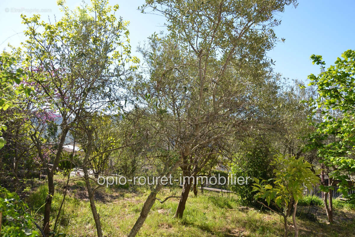 Terrain à LE BAR-SUR-LOUP