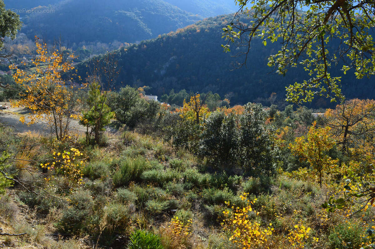 Terrain à ARLES-SUR-TECH