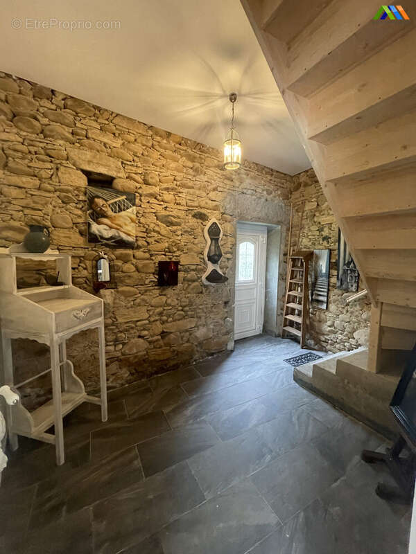 Maison 384 m² à Saint-Plancard  - photo 9
