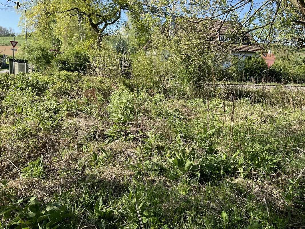 Terrain à BEAUMERIE-SAINT-MARTIN