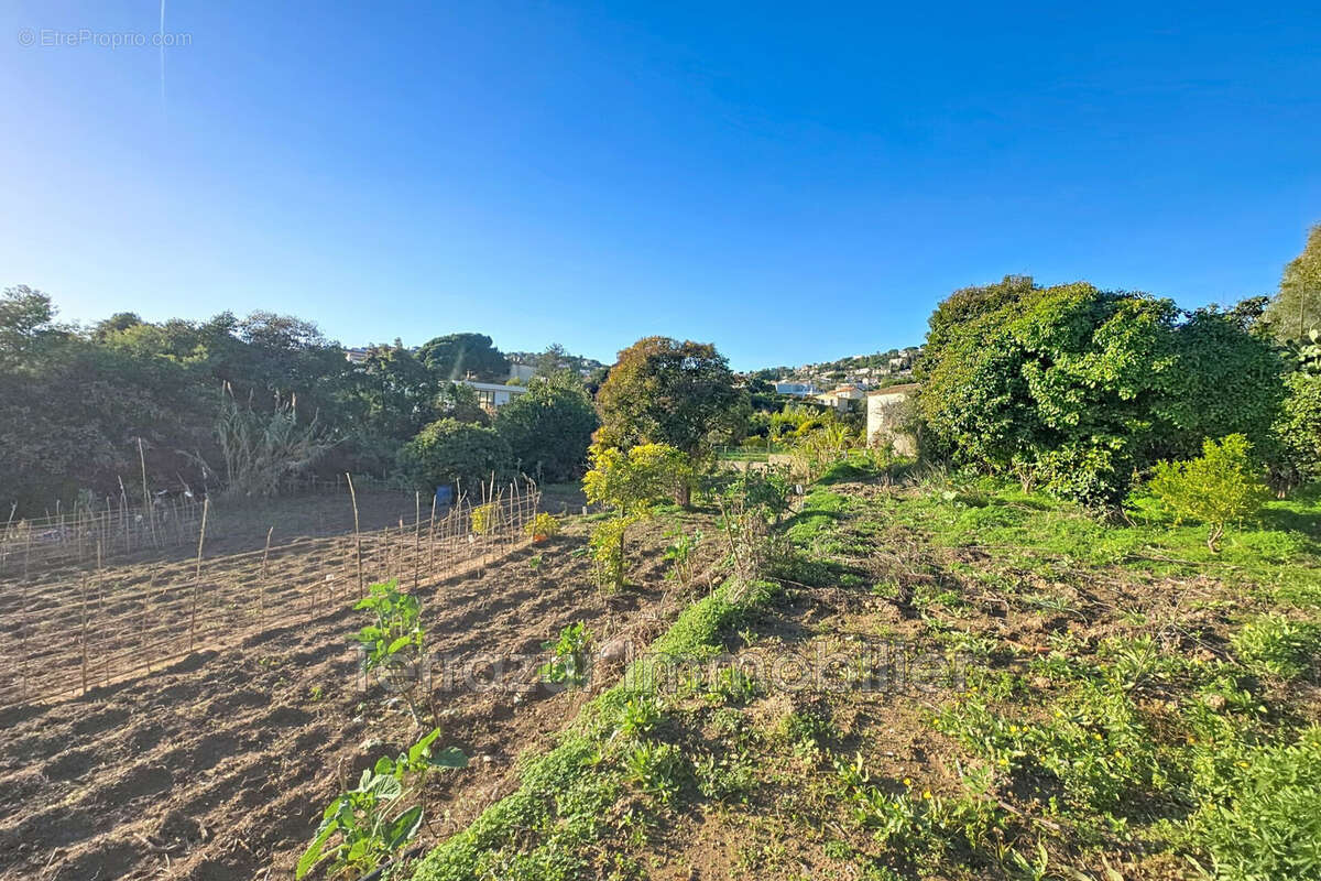 Terrain à VALLAURIS
