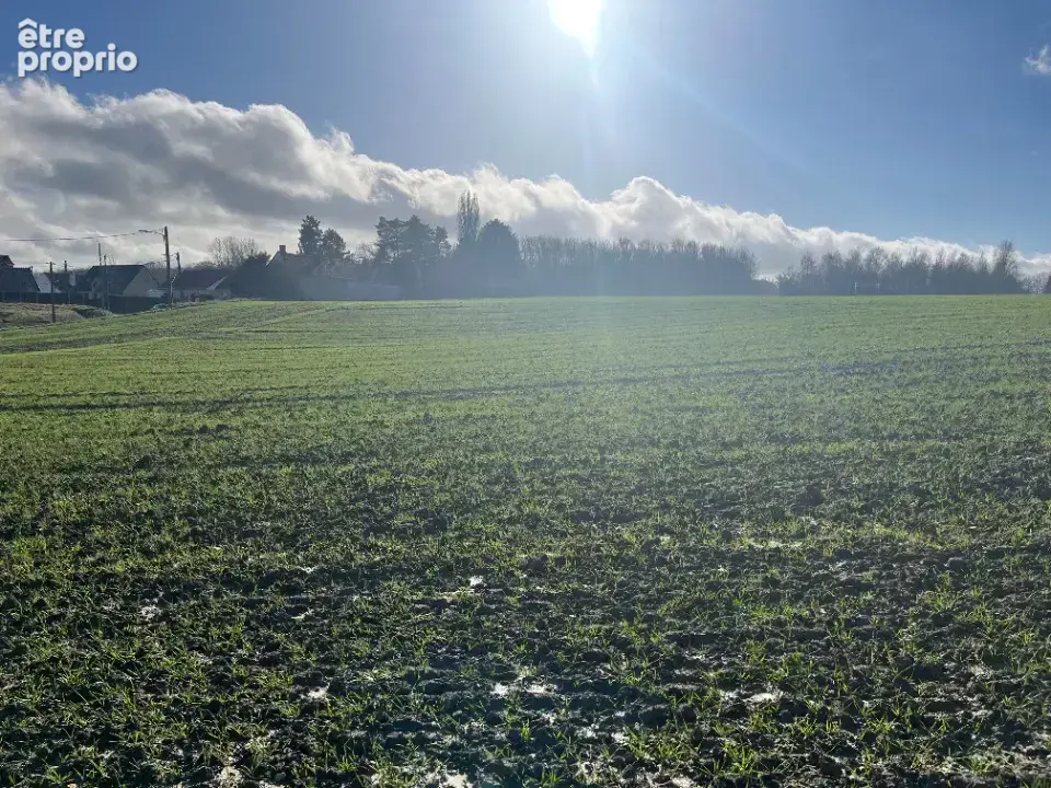 Terrain 1 500 m² à vendre à Divion (62460) - photo 2