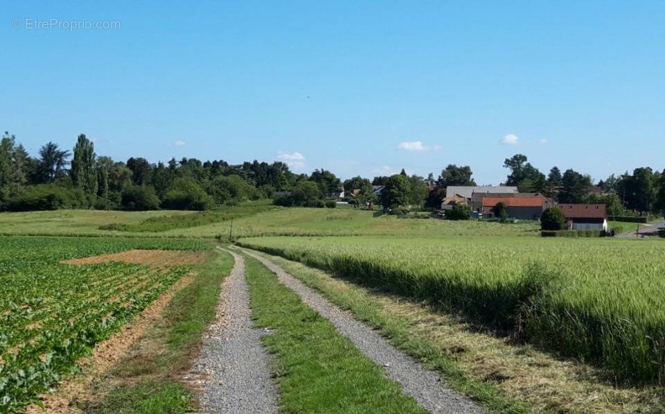 Terrain à BOULLAY-LES-TROUX