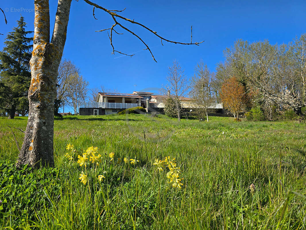 Maison 185m2 - photo 5