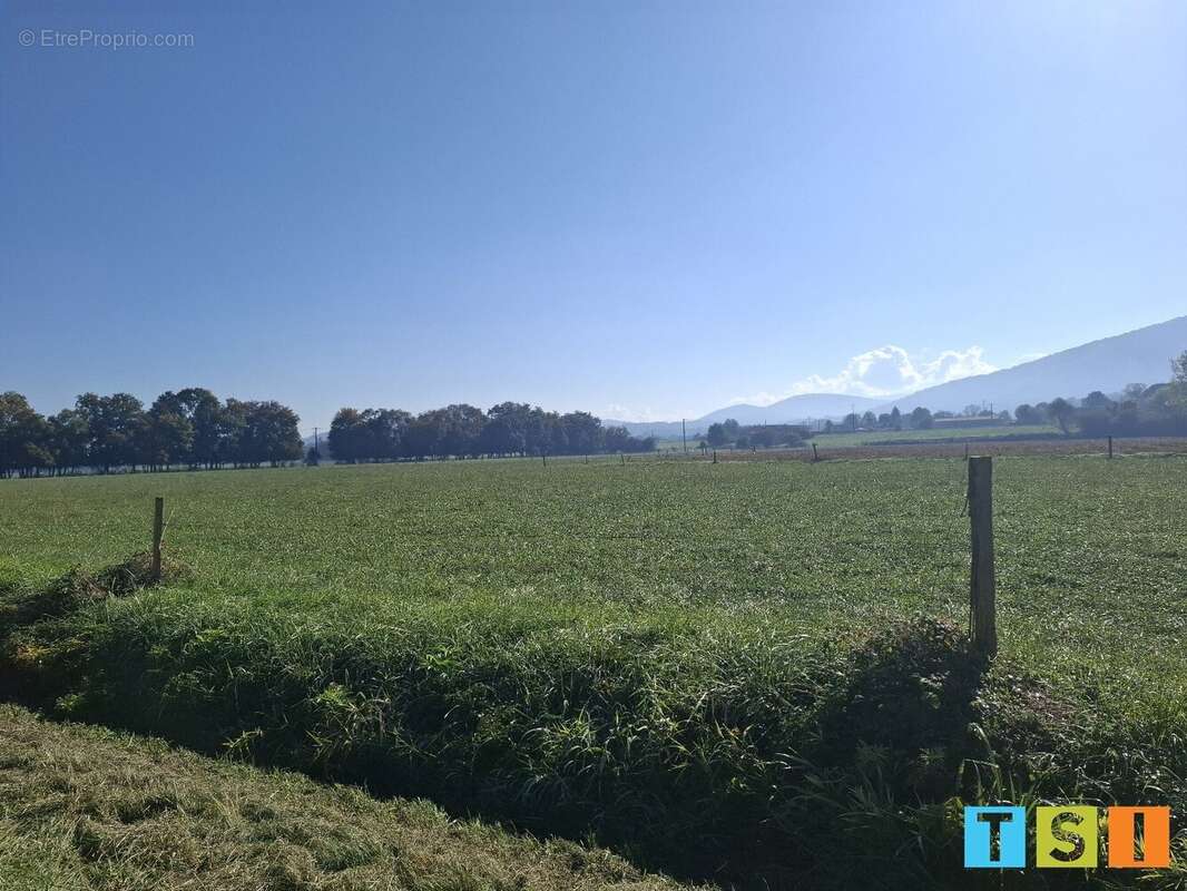 Terrain à MARTRES-DE-RIVIERE