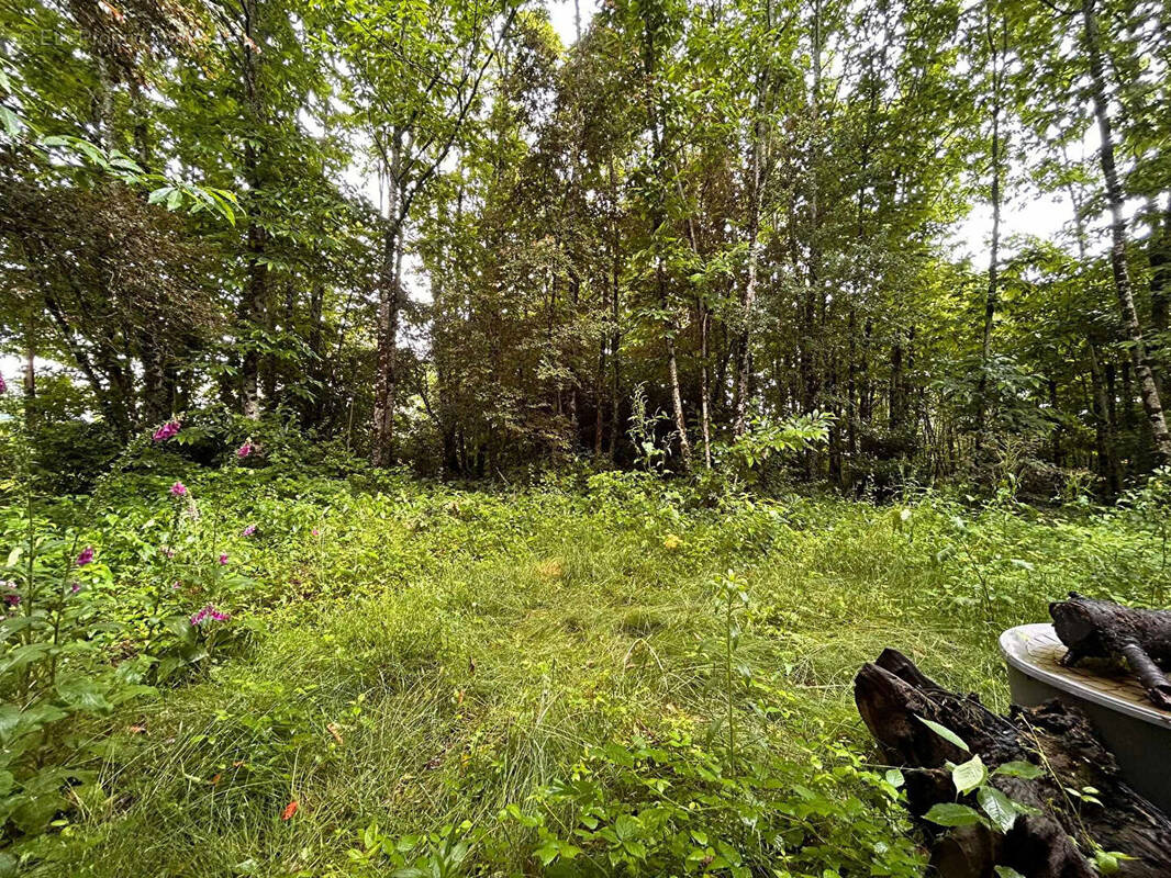 Terrain à LADIGNAC-LE-LONG