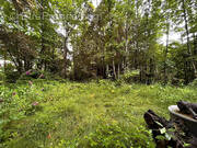 Terrain à LADIGNAC-LE-LONG