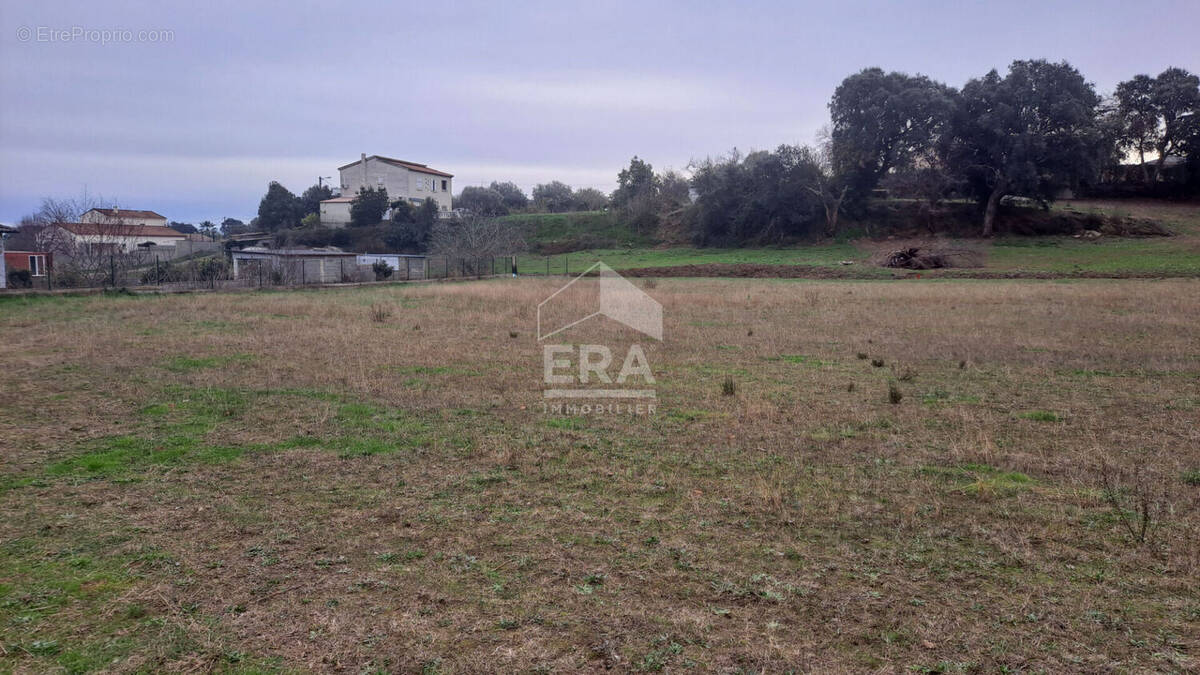 Terrain à VESCOVATO