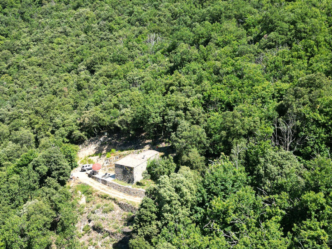 Autre à SAINT-ROMAN-DE-CODIERES