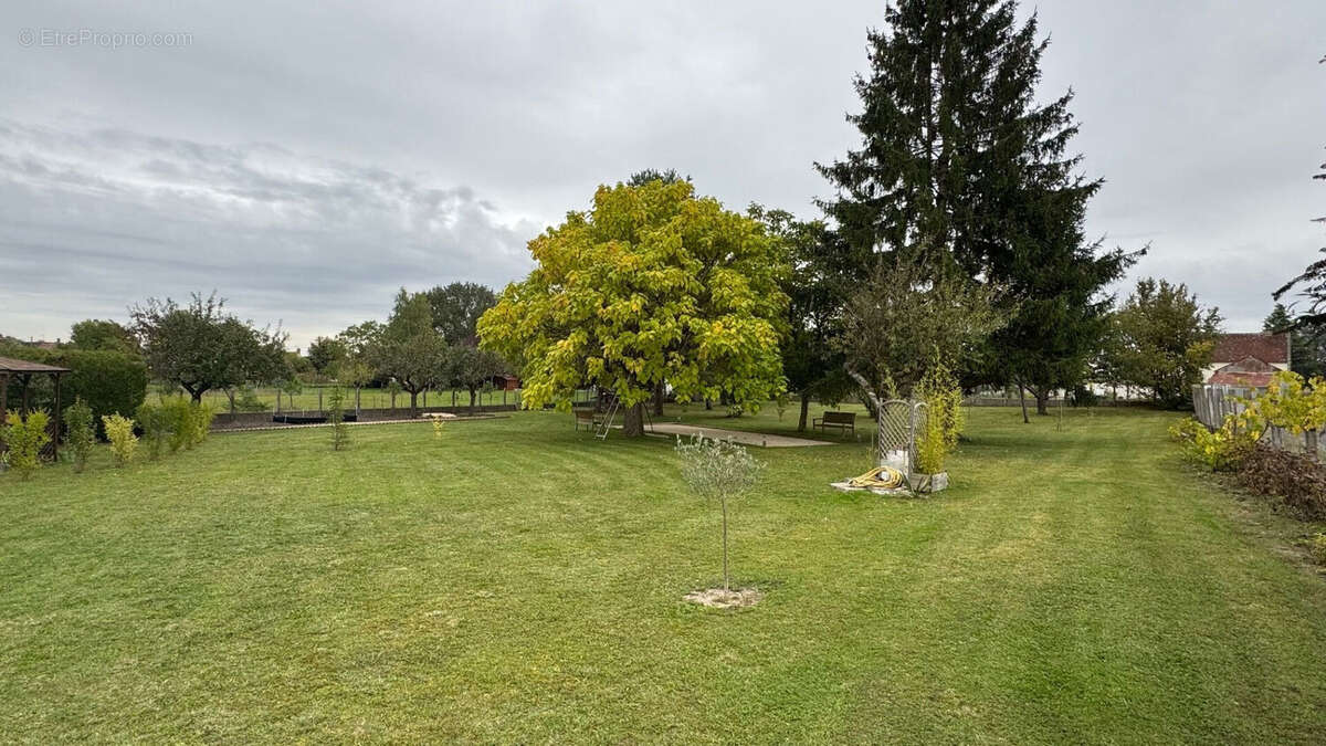 Maison à SELLES-SUR-CHER
