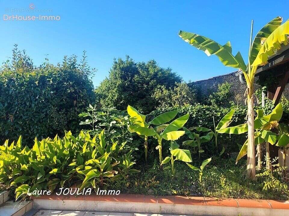 Maison 290 m² à Aire-Sur-L'adour  - photo 13