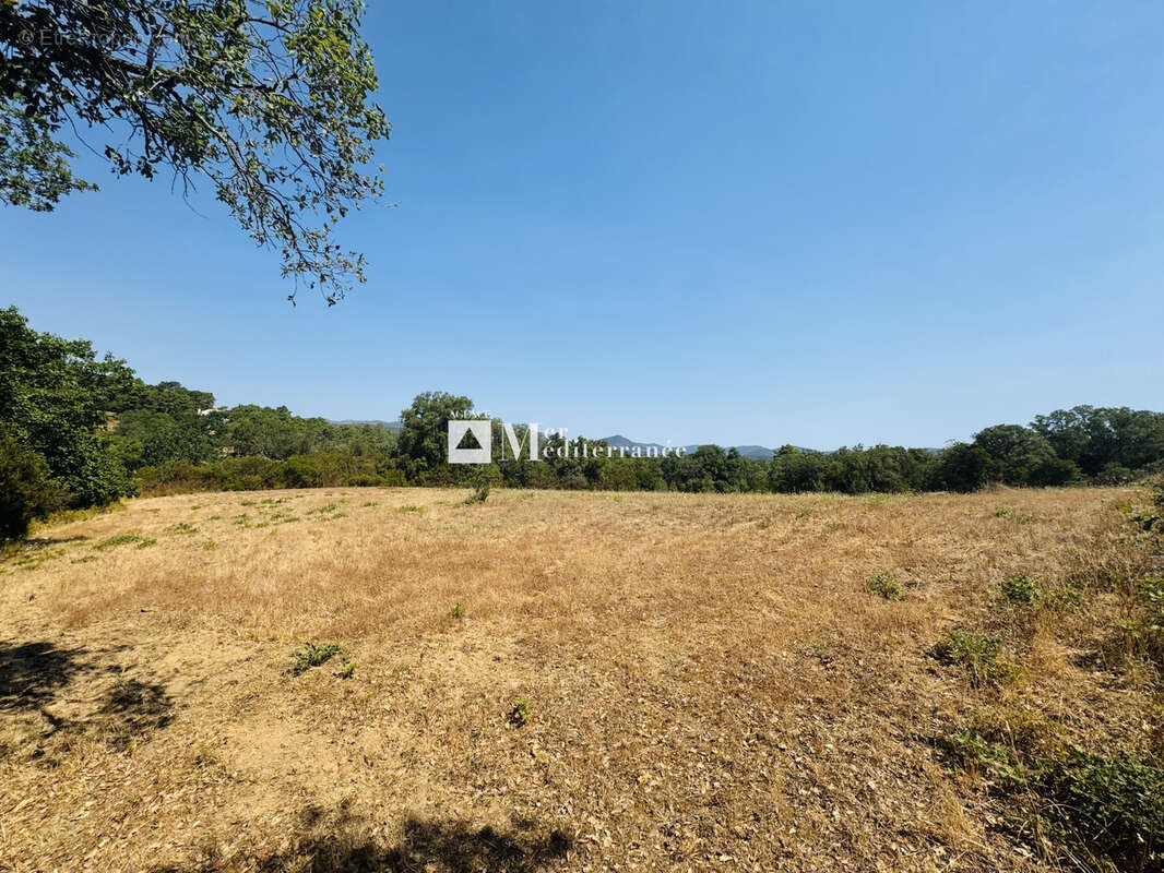 À vendre - propriété de 5,6 hectares, maison de plain-pied + appartement sur la môle (83310) - photo 14