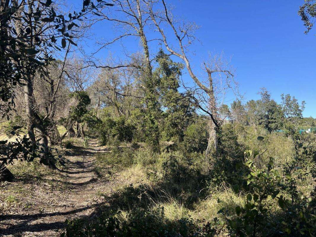 Terrain à AIGALIERS