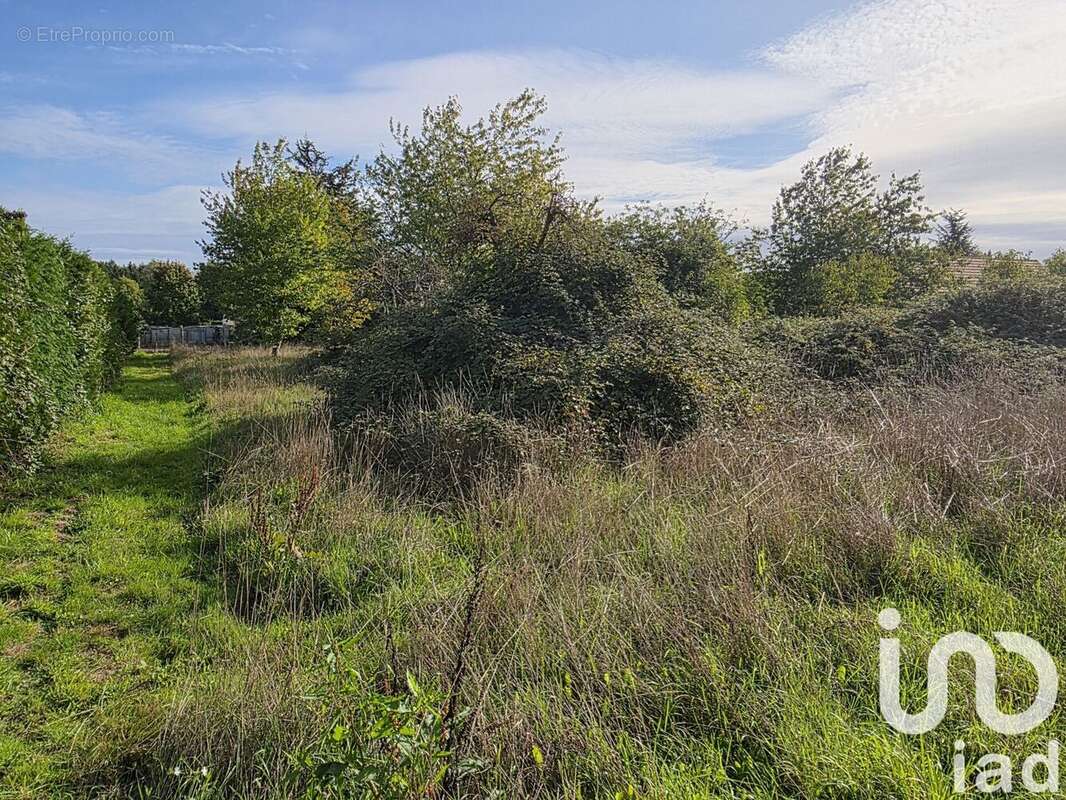 Photo 2 - Terrain à CERANS-FOULLETOURTE