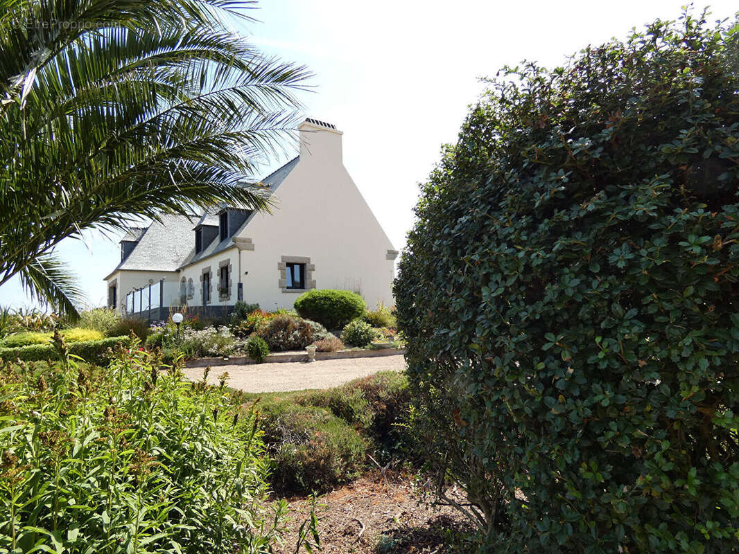 Plougasnou - Grande Maison vue mer panoramique - photo 15