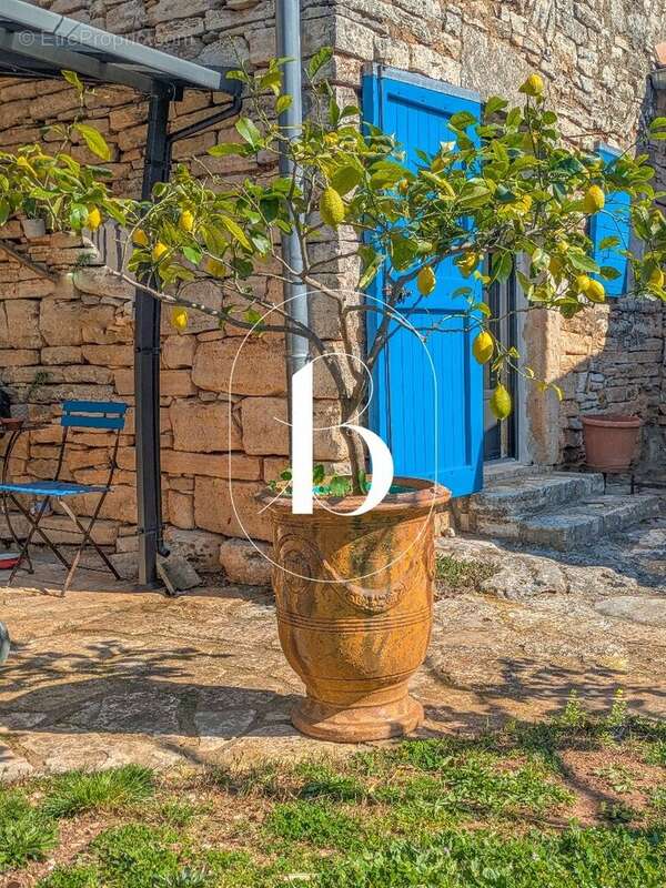 Maison à ORGNAC-L'AVEN