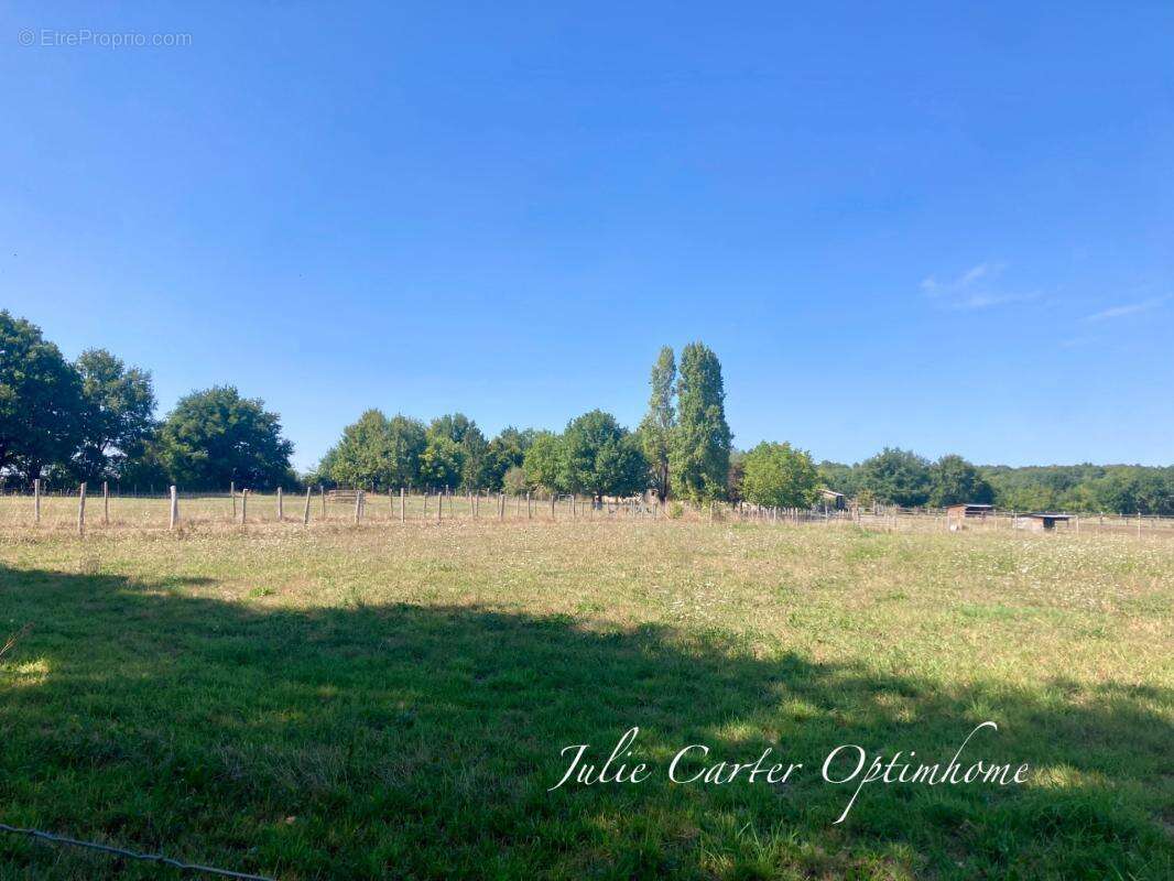 Propriété équestre  (72) - photo 11