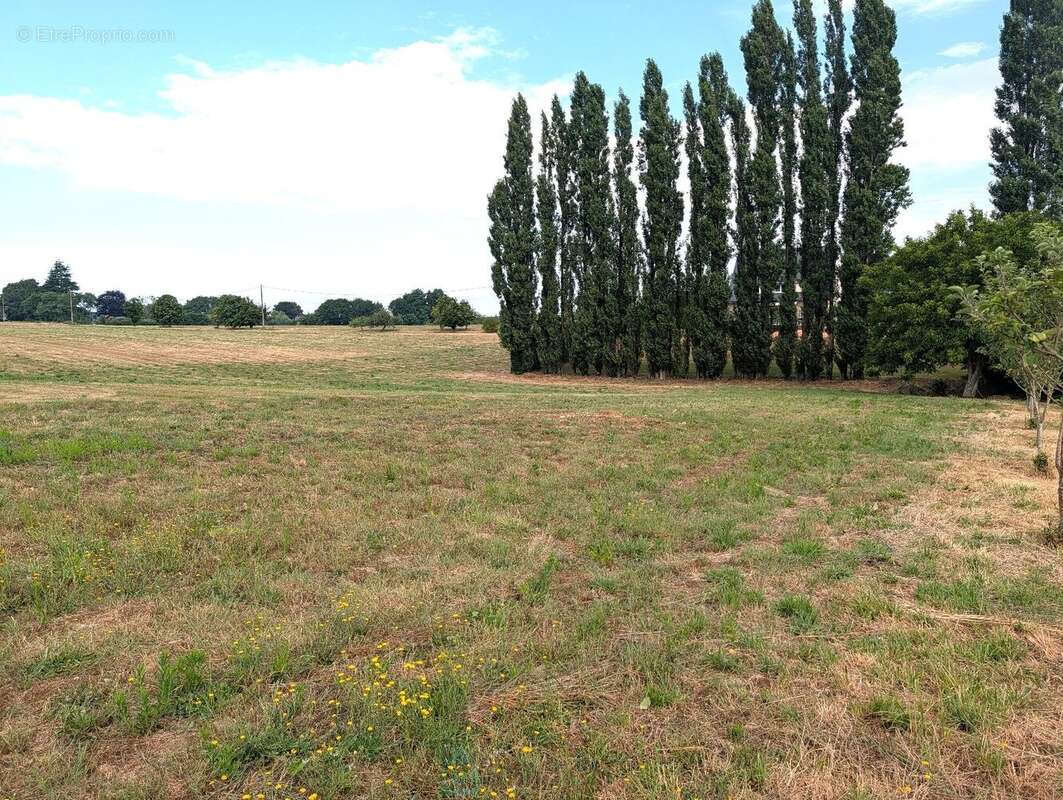 Propriété sur 27 hectares, maison 179 m2, bâtiments de 700 m2 salle de réception et 600 m2 garage - photo 2