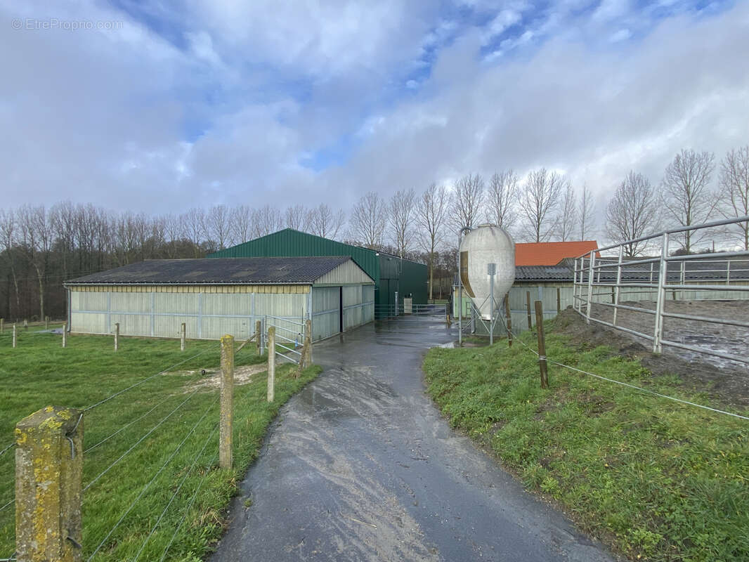 Maison à SAINT-POL-SUR-TERNOISE