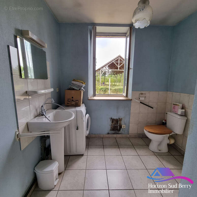 salle d&#039;eau avec WC - Maison à SAINTE-SEVERE-SUR-INDRE