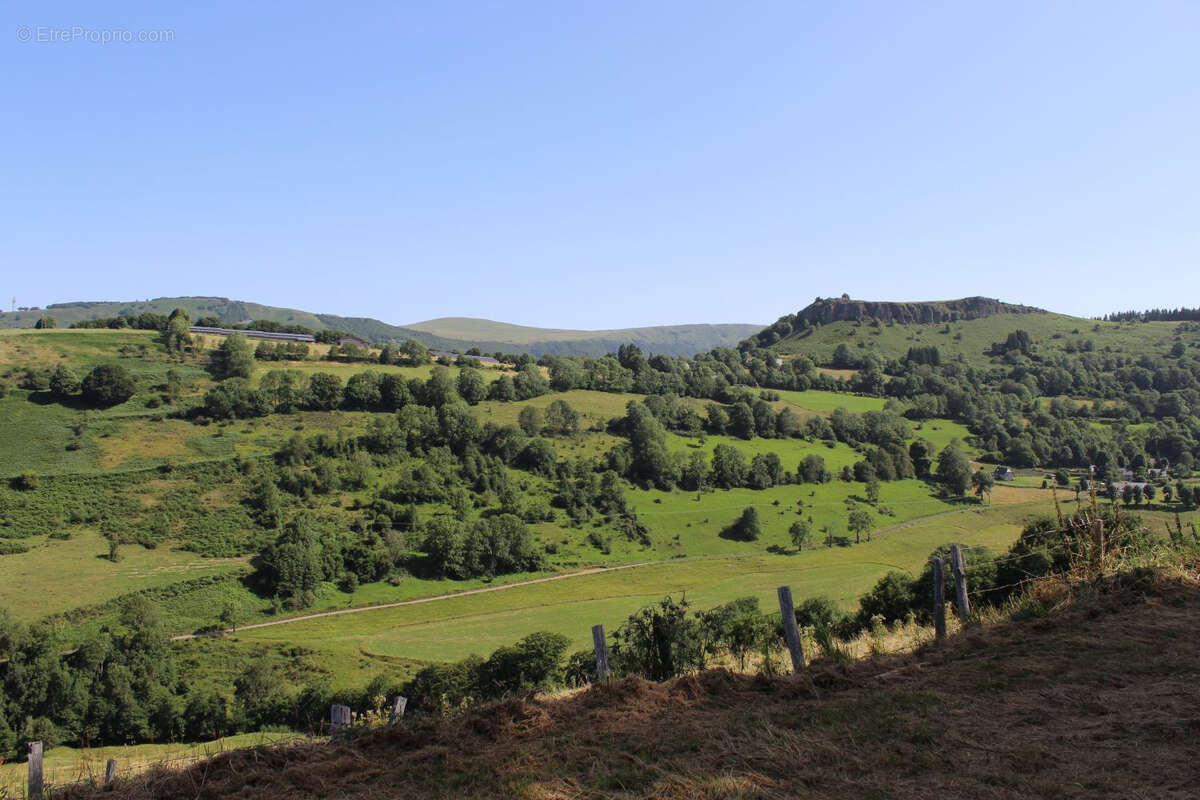 Maison à SAINT-PROJET-DE-SALERS