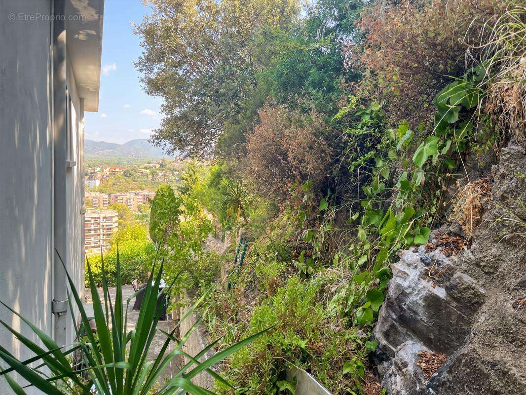Maison À Vendre composée de 2 appartements (3 et 4 pièces) - photo 44