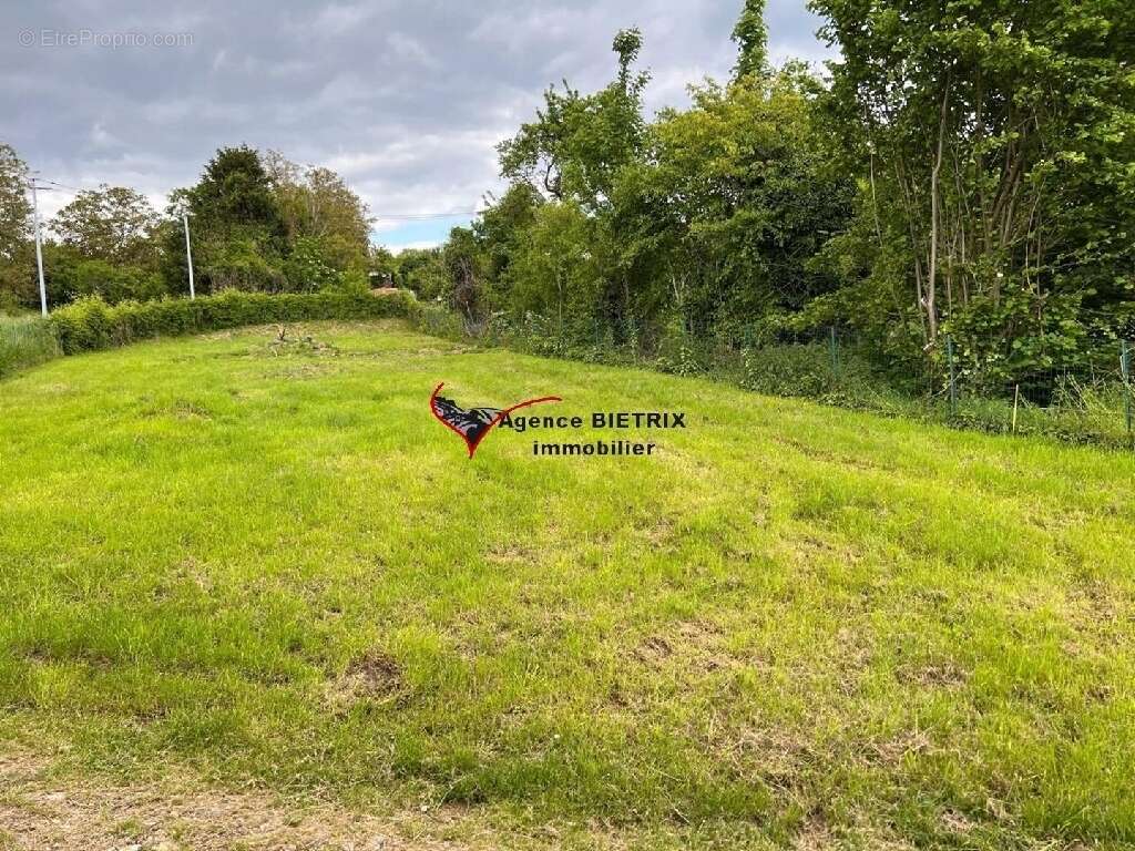 Terrain à L'ISLE-ADAM