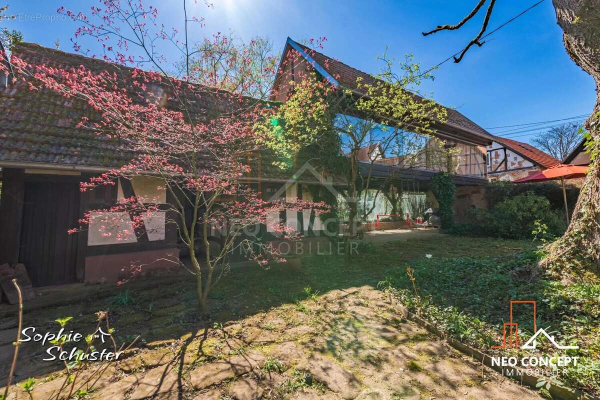 Maison à MULHAUSEN