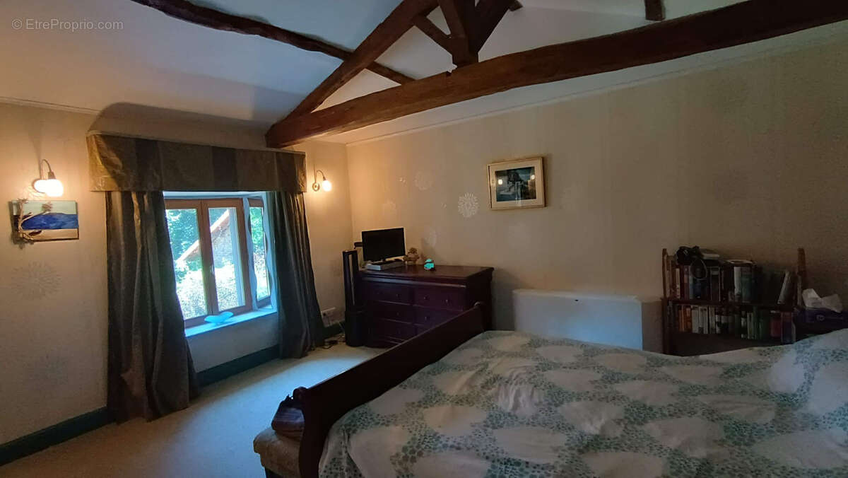 Ensemble immobilier avec ancien moulin - photo 21