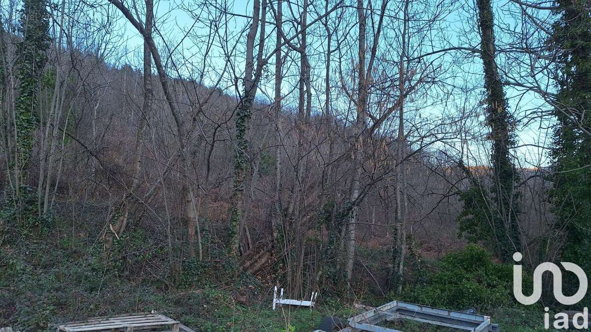 Photo 7 - Terrain à PRATS-DE-MOLLO-LA-PRESTE