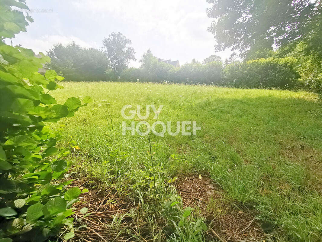 Terrain à CAULNES