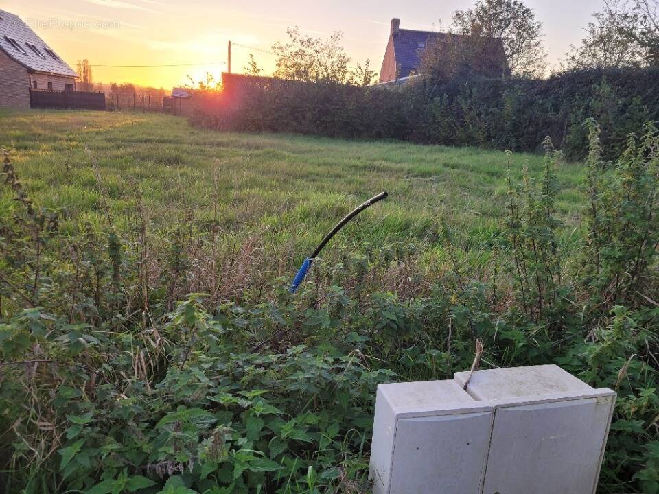 Terrain à SAINT-MARTIN-AU-LAERT