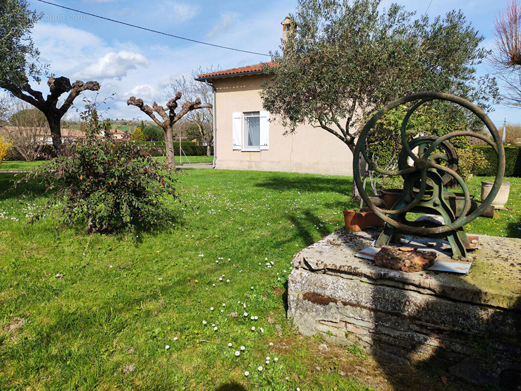 Maison à MOISSAC
